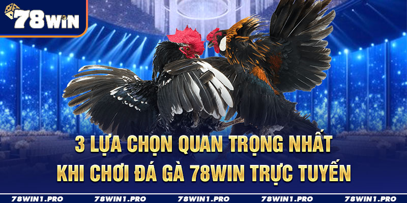 3 lua chon quan trong nhat khi choi da ga 78win